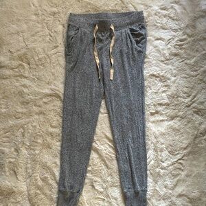 Express Ultra Soft Gray Jogger Pants